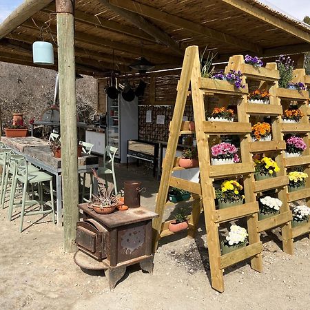 Carmey Avdat Farm Midreshet Ben Gurion Ngoại thất bức ảnh