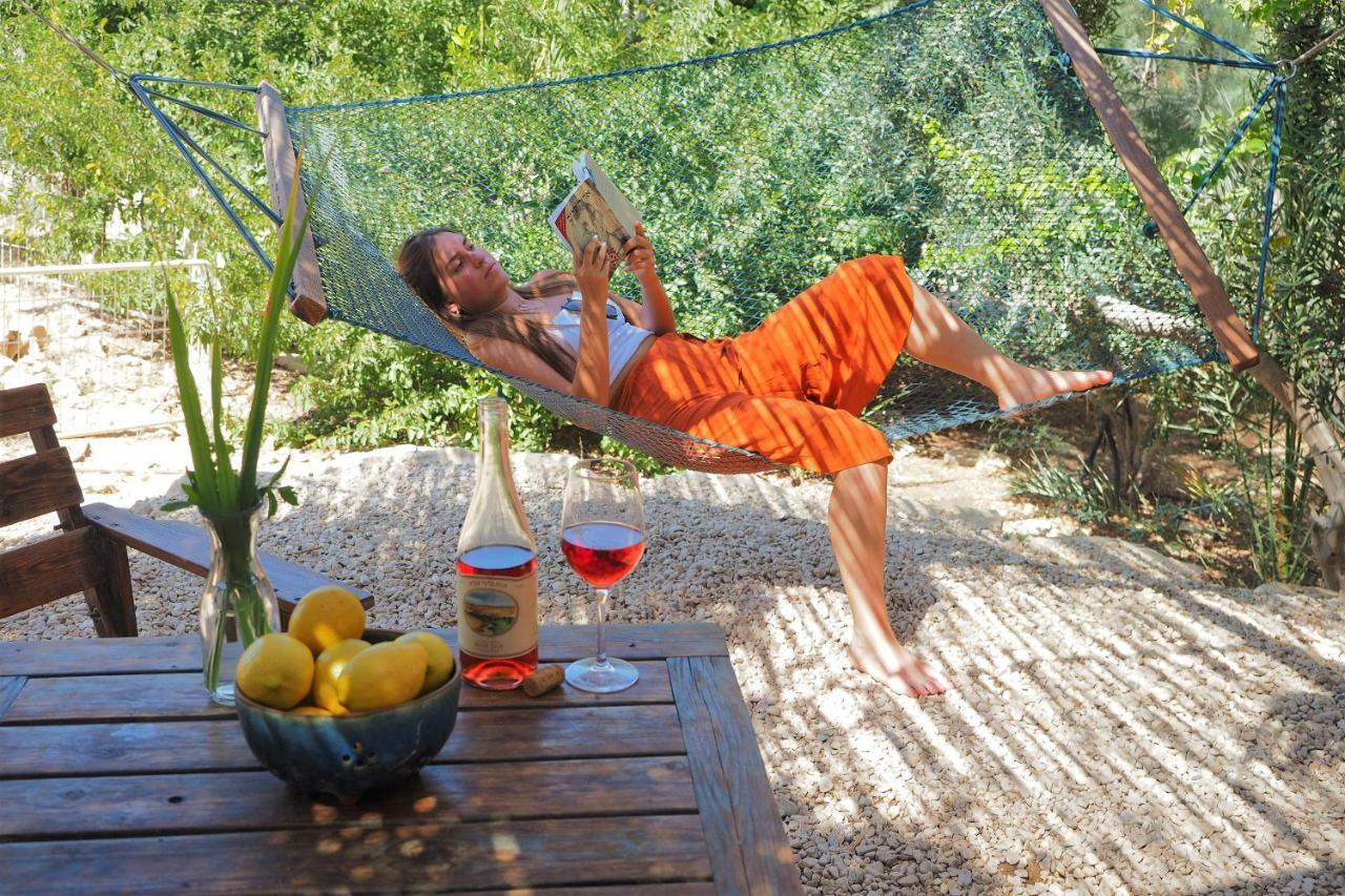 Carmey Avdat Farm Midreshet Ben Gurion Ngoại thất bức ảnh