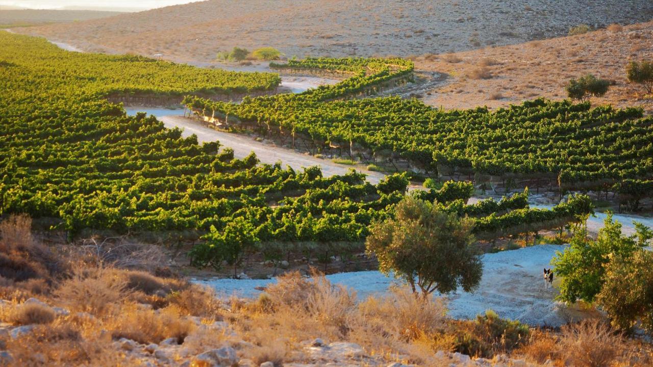 Carmey Avdat Farm Midreshet Ben Gurion Ngoại thất bức ảnh
