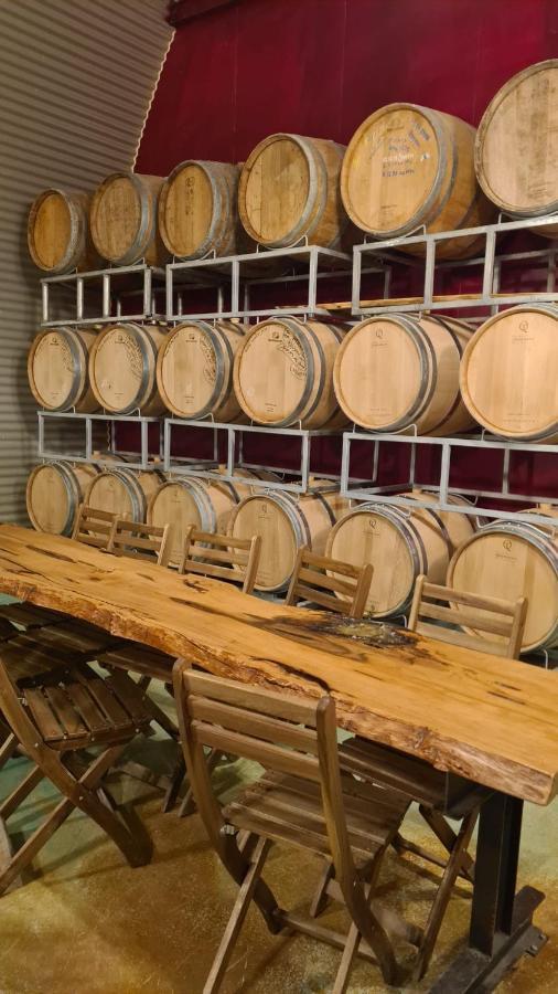 Carmey Avdat Farm Midreshet Ben Gurion Ngoại thất bức ảnh