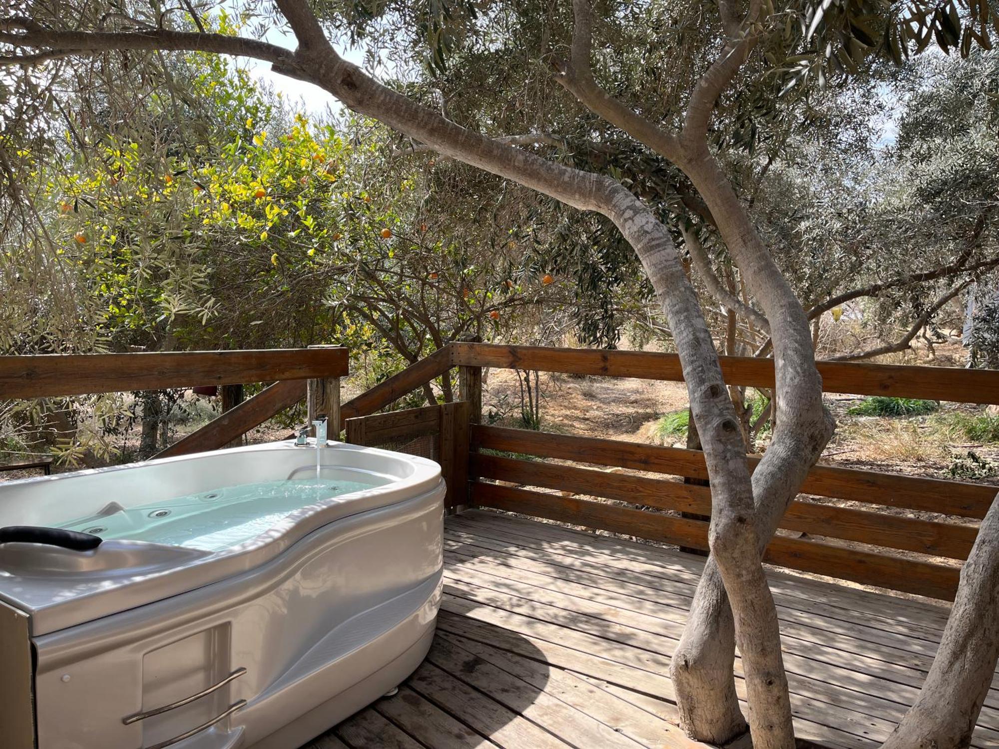 Carmey Avdat Farm Midreshet Ben Gurion Ngoại thất bức ảnh