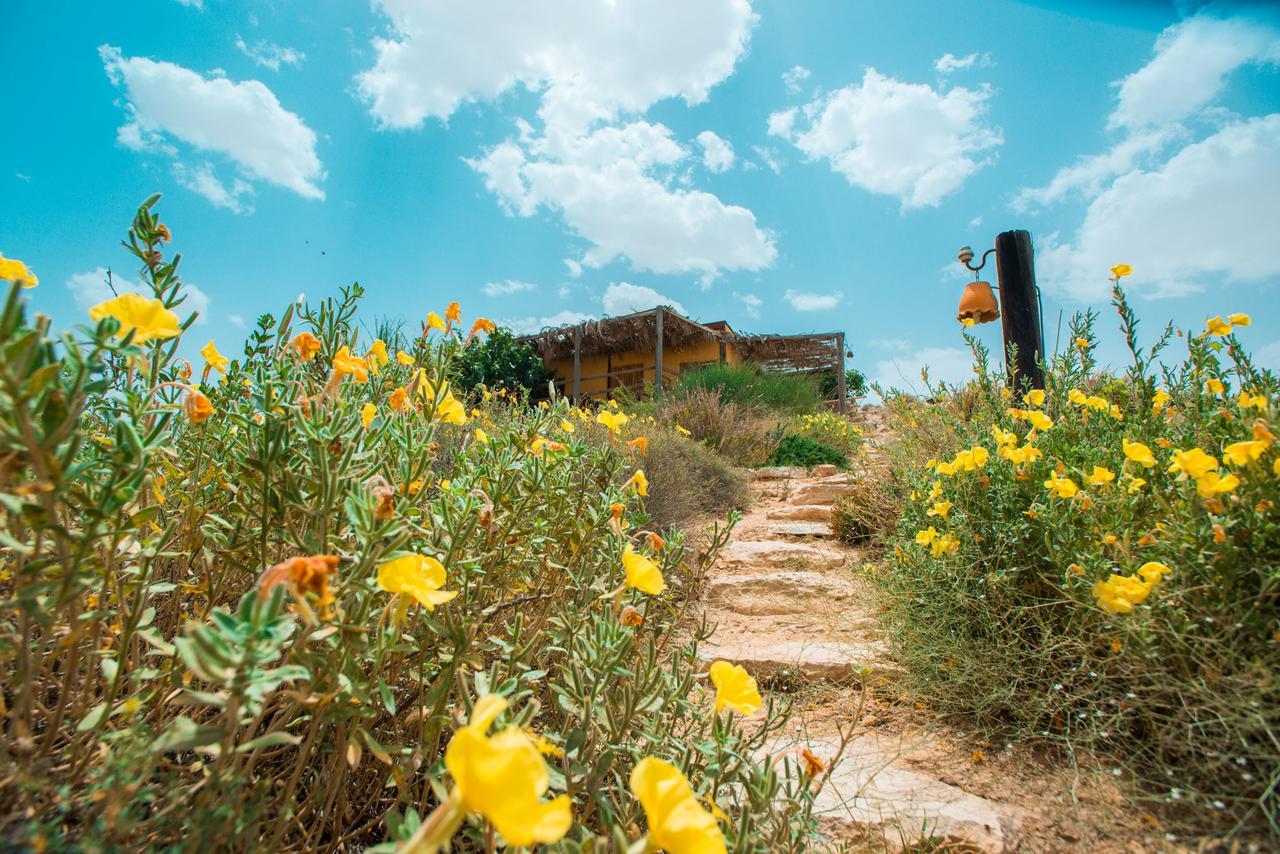 Carmey Avdat Farm Midreshet Ben Gurion Ngoại thất bức ảnh